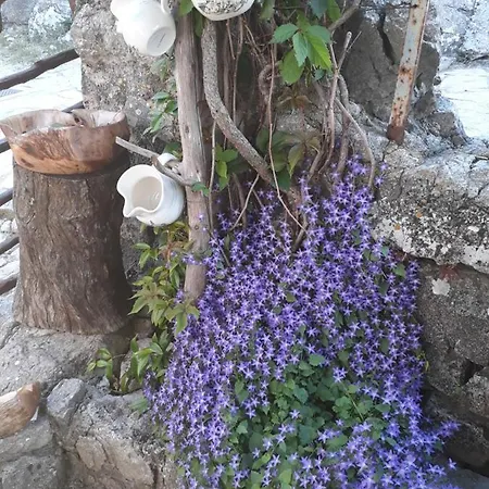 Apartman Biba *