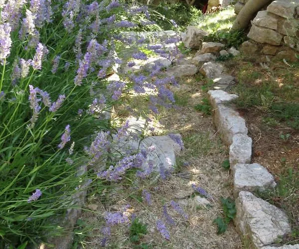 Biba Lubenice