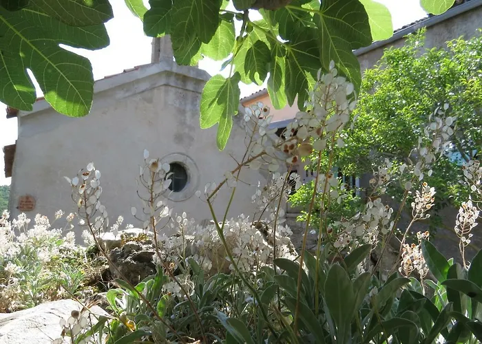 Biba