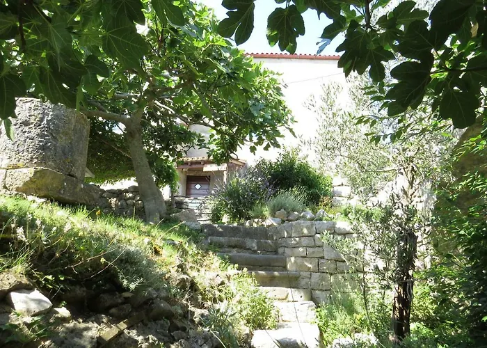 Apartment Biba