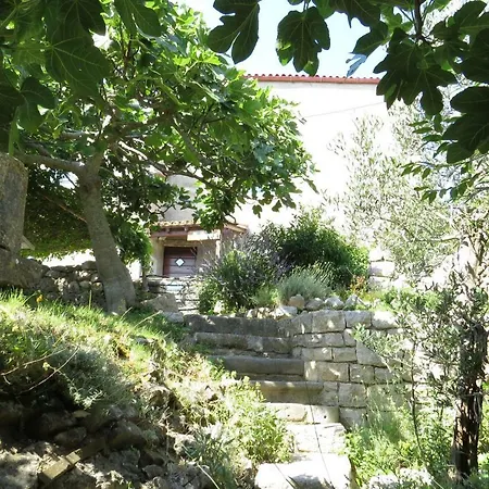 Apartament Biba